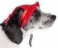 Pet Life 'Sea Spot Sun' Uv Protectant Adjustable Fashion Mesh Brimmed Dog Hat Cap - Red - Medium
