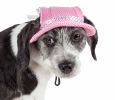 Pet Life 'Sea Spot Sun' Uv Protectant Adjustable Fashion Mesh Brimmed Dog Hat Cap - Pink - Medium