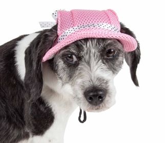 Pet Life 'Sea Spot Sun' Uv Protectant Adjustable Fashion Mesh Brimmed Dog Hat Cap - Pink - Medium