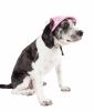 Pet Life 'Sea Spot Sun' Uv Protectant Adjustable Fashion Mesh Brimmed Dog Hat Cap - Pink - Large